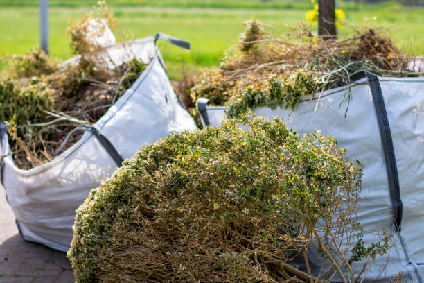 Best Yard Cleanup Services  in Derwood, MD